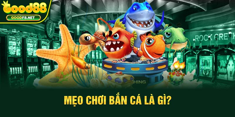 Mẹo chơi bắn cá là gì?